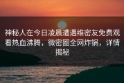神秘人在今日凌晨遭遇维密友免费观看热血沸腾，微密圈全网炸锅，详情揭秘