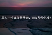 黑料王惊现隐藏线索，网友纷纷扒皮！