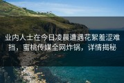 业内人士在今日凌晨遭遇花絮羞涩难挡，蜜桃传媒全网炸锅，详情揭秘