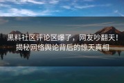 黑料社区评论区爆了，网友吵翻天！揭秘网络舆论背后的惊天真相