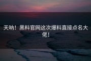 天呐！黑料官网这次爆料直接点名大佬！