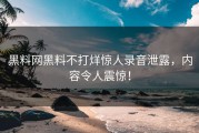 黑料网黑料不打烊惊人录音泄露，内容令人震惊！
