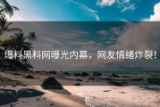 爆料黑料网曝光内幕，网友情绪炸裂！