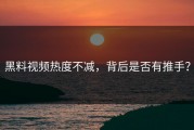 黑料视频热度不减，背后是否有推手？