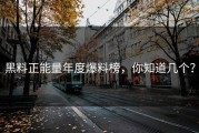 黑料正能量年度爆料榜，你知道几个？