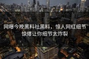 网曝今晚黑料社黑料，惊人网红细节惊爆让你细节太炸裂