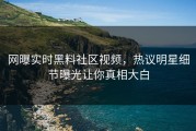 网曝实时黑料社区视频，热议明星细节曝光让你真相大白