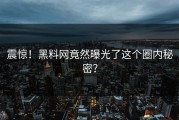 震惊！黑料网竟然曝光了这个圈内秘密？