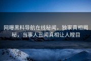 网曝黑料导航在线秘闻，独家真相揭秘，当事人丑闻真相让人瞠目