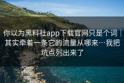 你以为黑料社app下载官网只是个词｜其实牵着一条它的流量从哪来…我把坑点列出来了