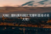天呐！爆料黑料网这次爆料直接点名大佬！