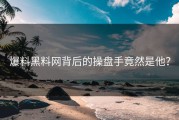 爆料黑料网背后的操盘手竟然是他？