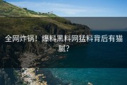 全网炸锅！爆料黑料网猛料背后有猫腻？
