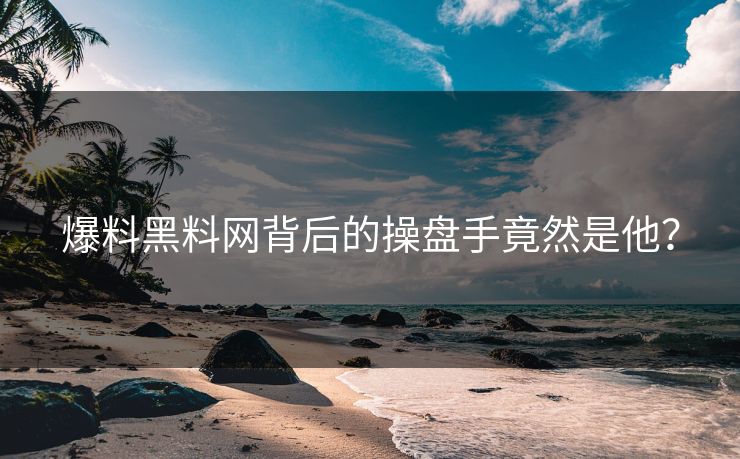爆料黑料网背后的操盘手竟然是他？