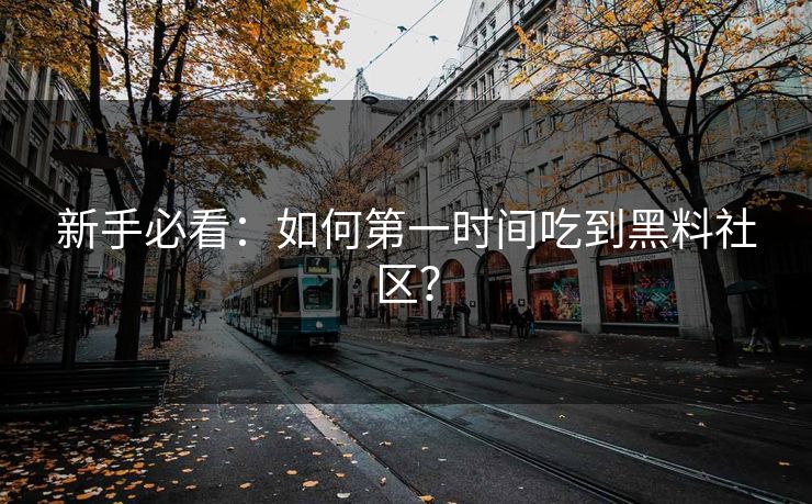 新手必看：如何第一时间吃到黑料社区？