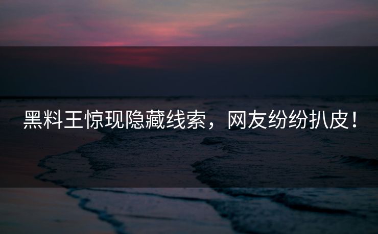 黑料王惊现隐藏线索，网友纷纷扒皮！