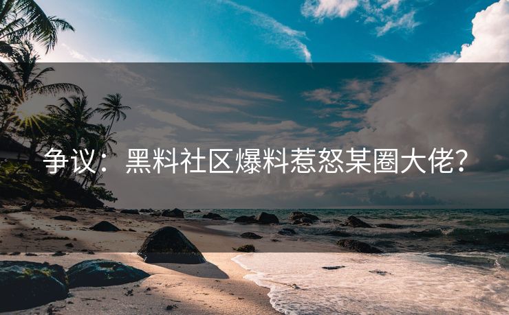 争议：黑料社区爆料惹怒某圈大佬？