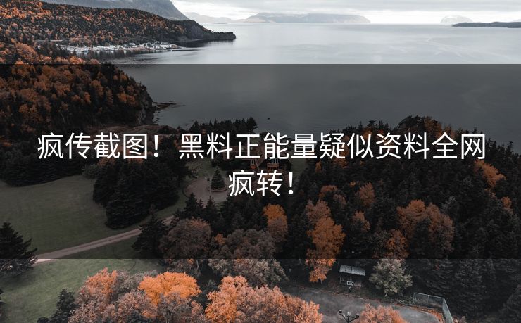 疯传截图！黑料正能量疑似资料全网疯转！