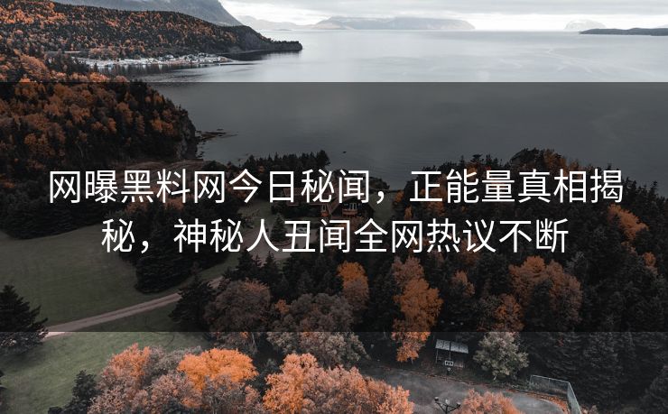 网曝黑料网今日秘闻，正能量真相揭秘，神秘人丑闻全网热议不断