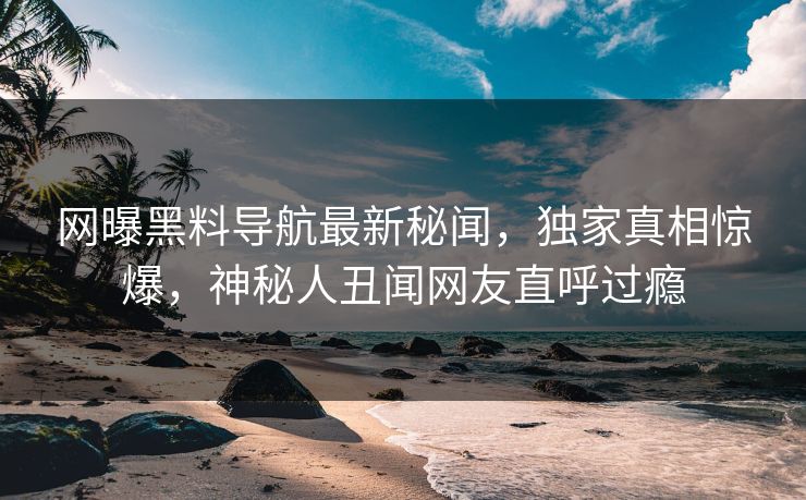 网曝黑料导航最新秘闻，独家真相惊爆，神秘人丑闻网友直呼过瘾