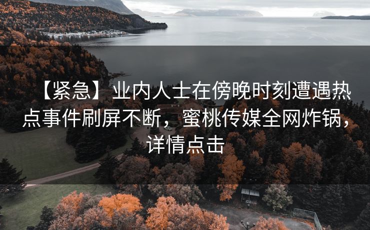 【紧急】业内人士在傍晚时刻遭遇热点事件刷屏不断，蜜桃传媒全网炸锅，详情点击