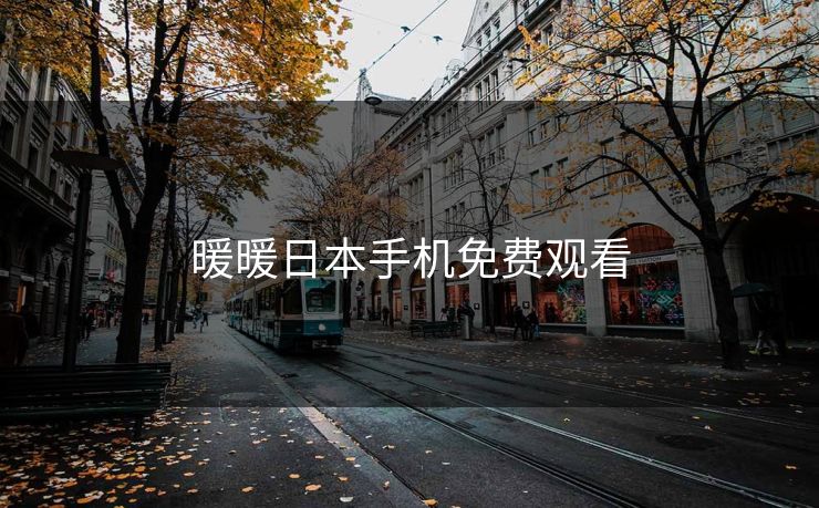 暖暖日本手机免费观看