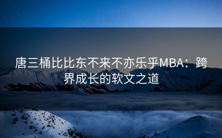 唐三桶比比东不来不亦乐乎MBA：跨界成长的软文之道
