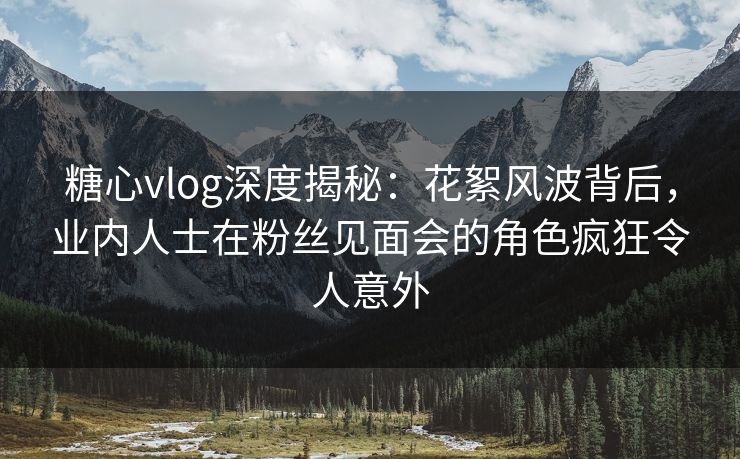 糖心vlog深度揭秘：花絮风波背后，业内人士在粉丝见面会的角色疯狂令人意外