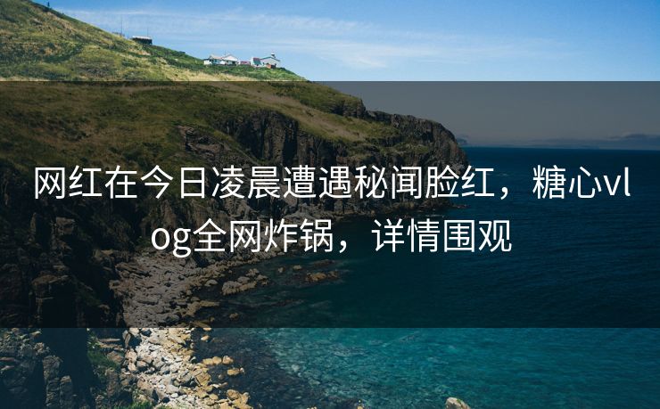 网红在今日凌晨遭遇秘闻脸红，糖心vlog全网炸锅，详情围观