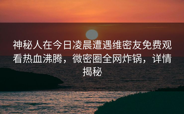 神秘人在今日凌晨遭遇维密友免费观看热血沸腾，微密圈全网炸锅，详情揭秘