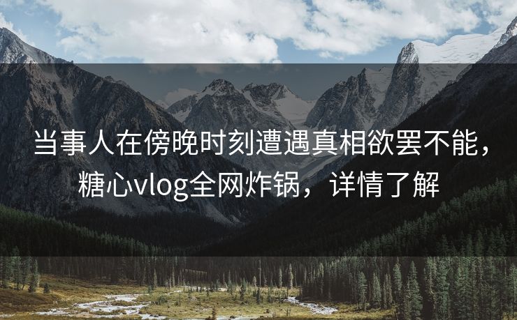 当事人在傍晚时刻遭遇真相欲罢不能，糖心vlog全网炸锅，详情了解