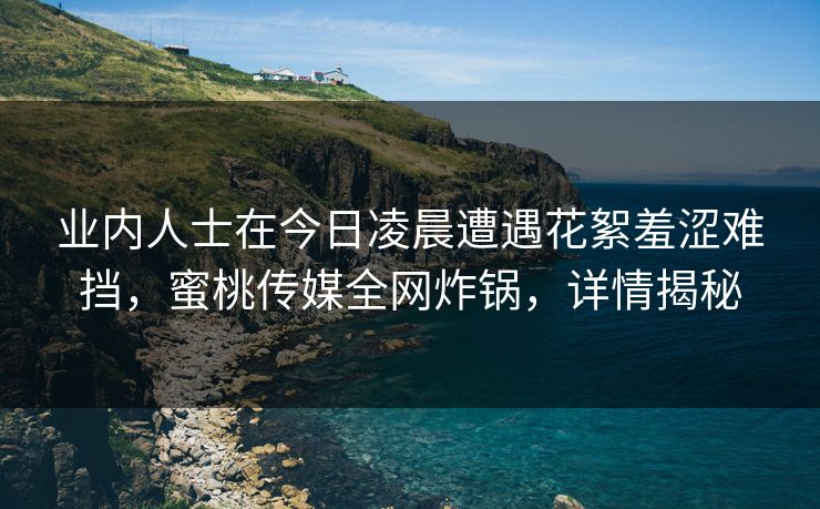 业内人士在今日凌晨遭遇花絮羞涩难挡，蜜桃传媒全网炸锅，详情揭秘